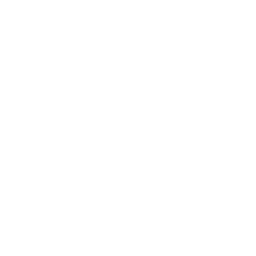 Browse Cars icon