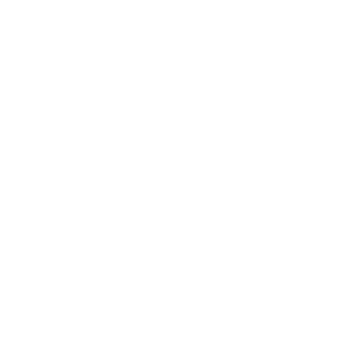 Salvage program icon